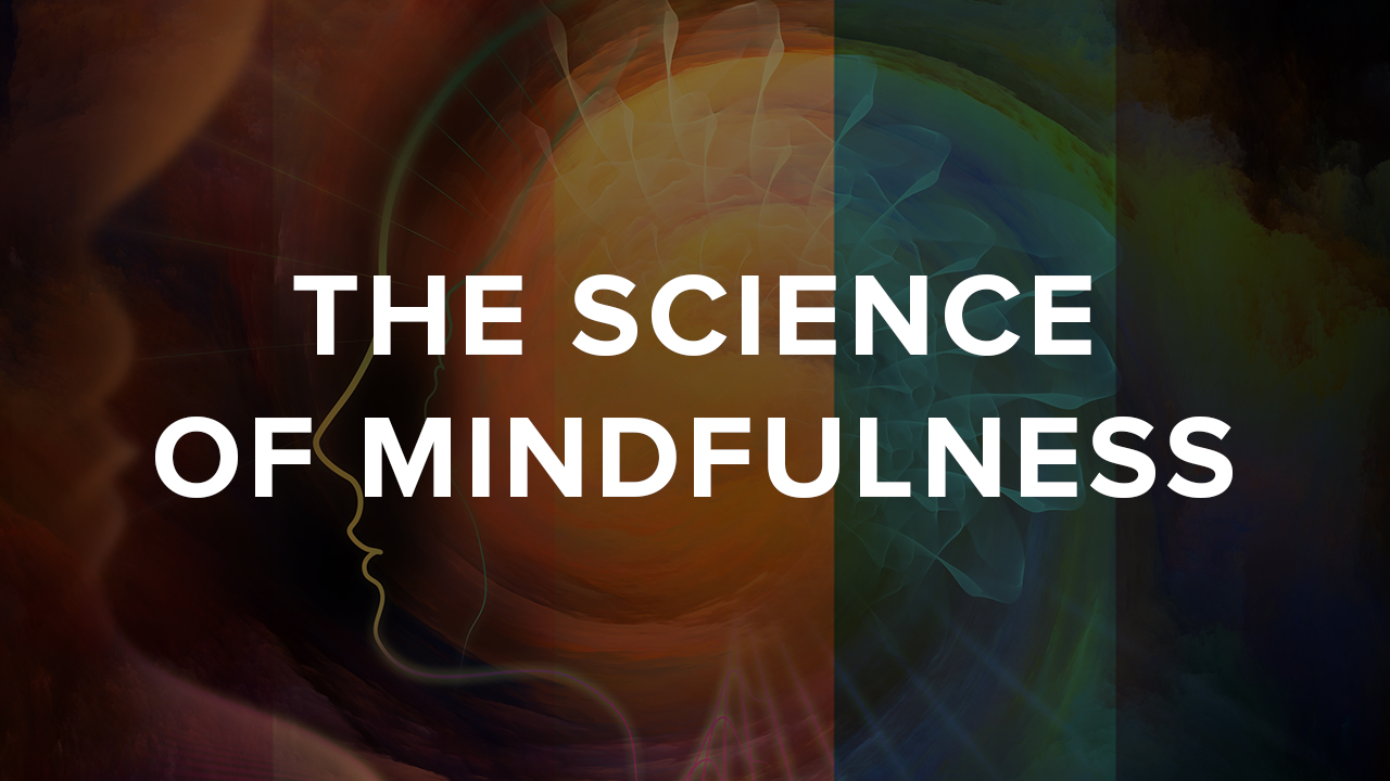 Science Behind Mindfulness
