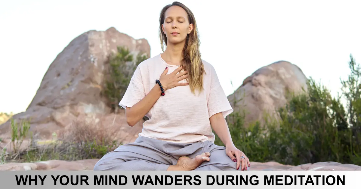 Mind Wander
